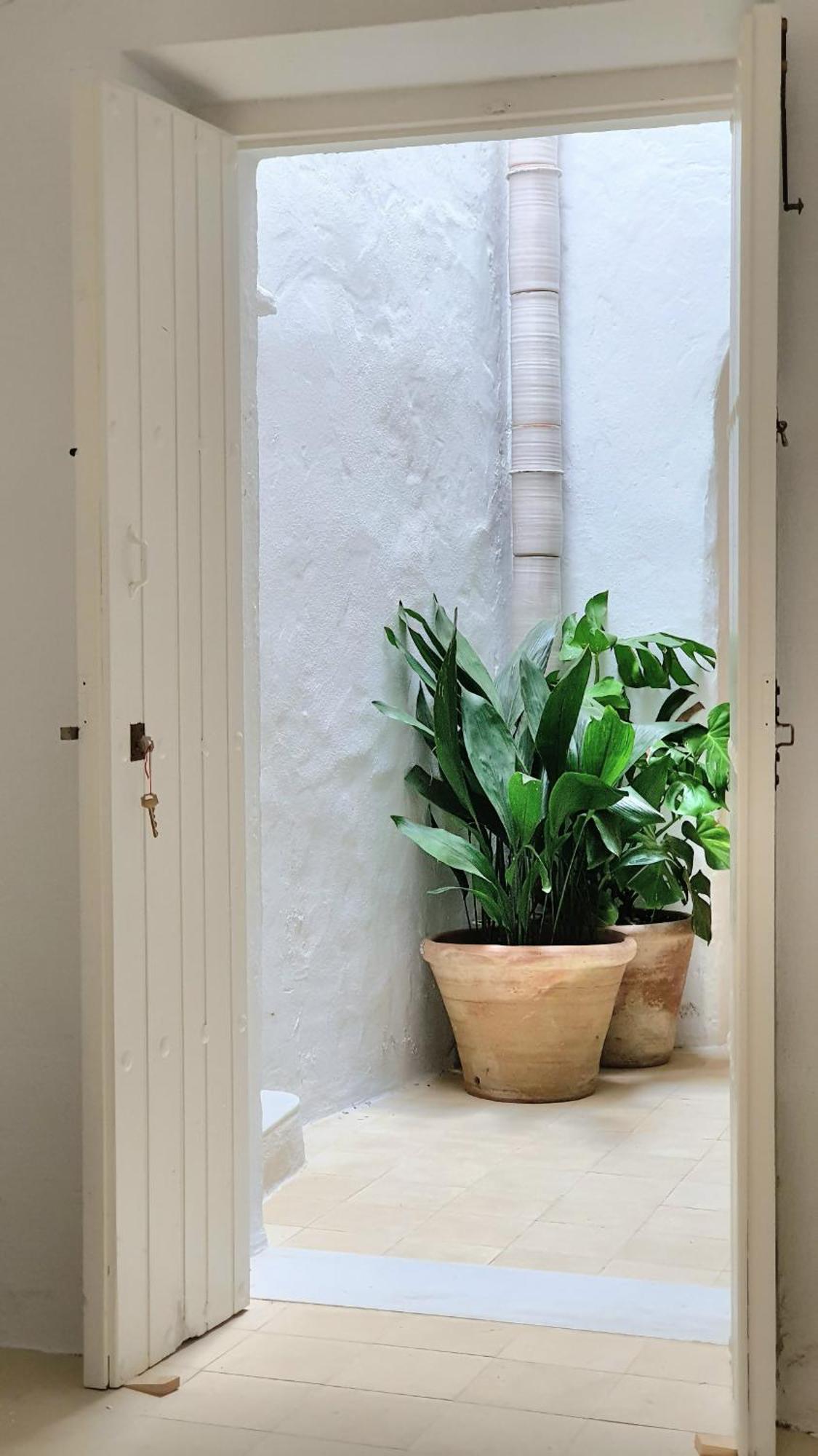 Canalejas 3 Vejer ベヘール・デ・ラ・フロンテーラ 部屋 写真